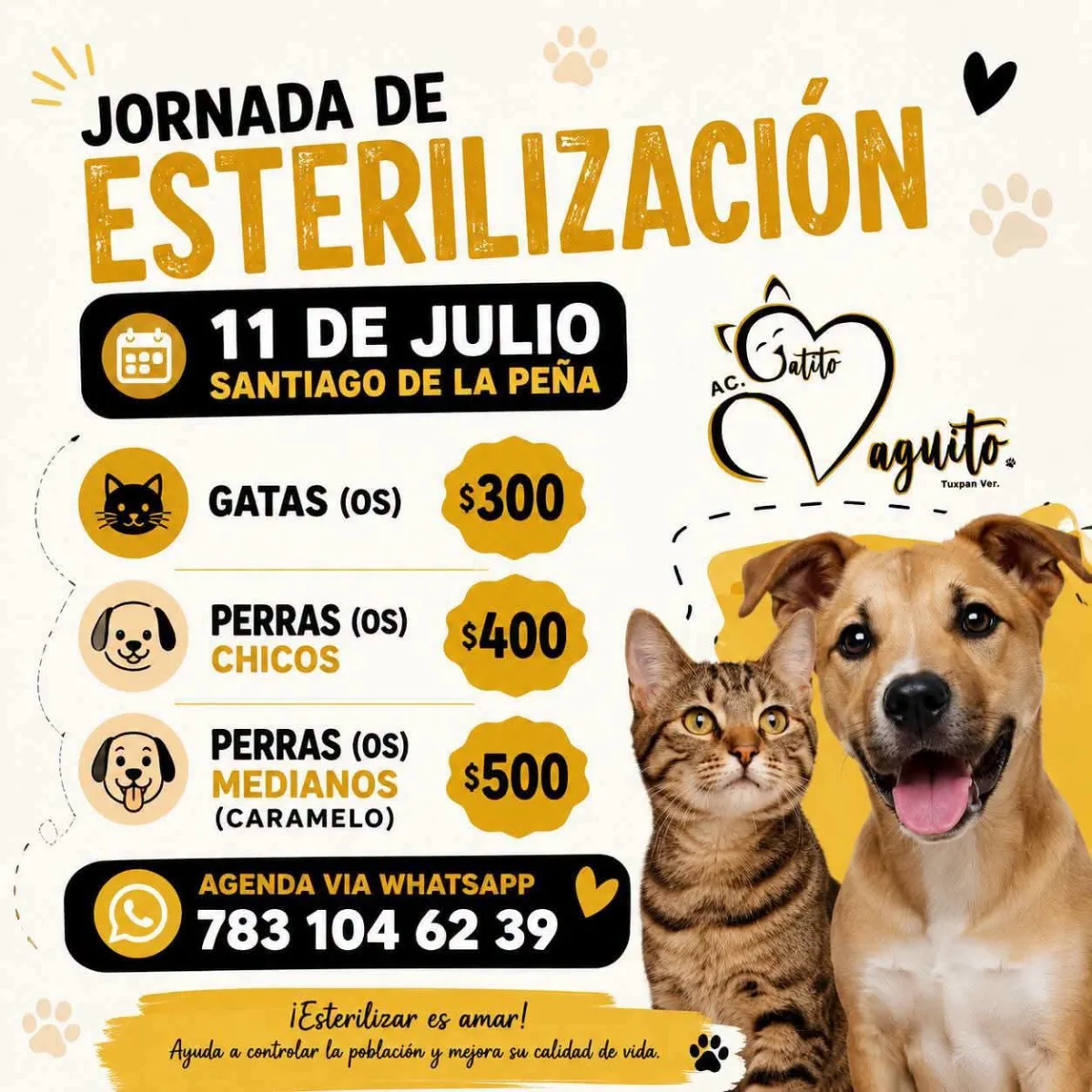 Imagen de publicación